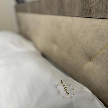 Eljus Πανσιόν 3*